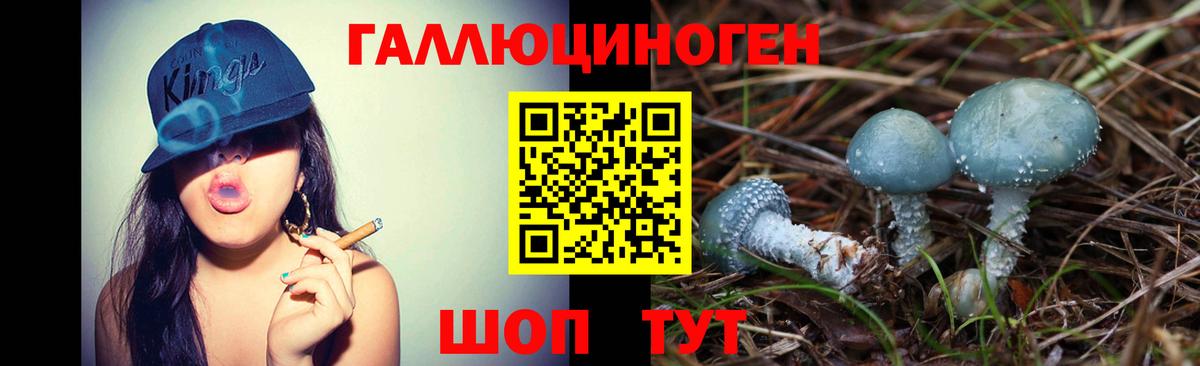 Псилоцибиновые грибы ЛСД Дубна