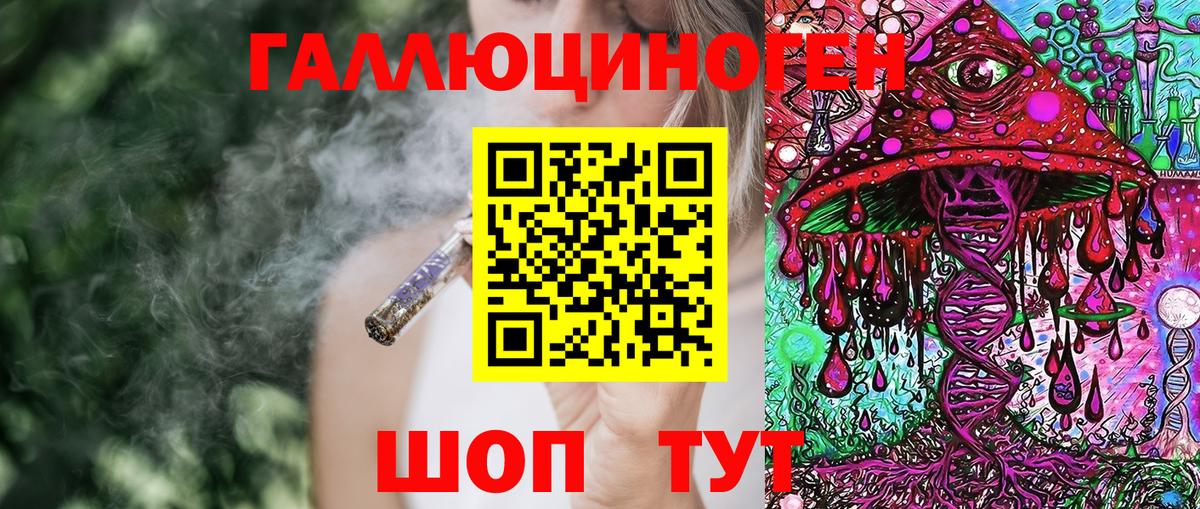 Дубна  Псилоцибиновые грибы Psilocybe  Вход с VPN  Галлюциногенные грибы прущие грибы 